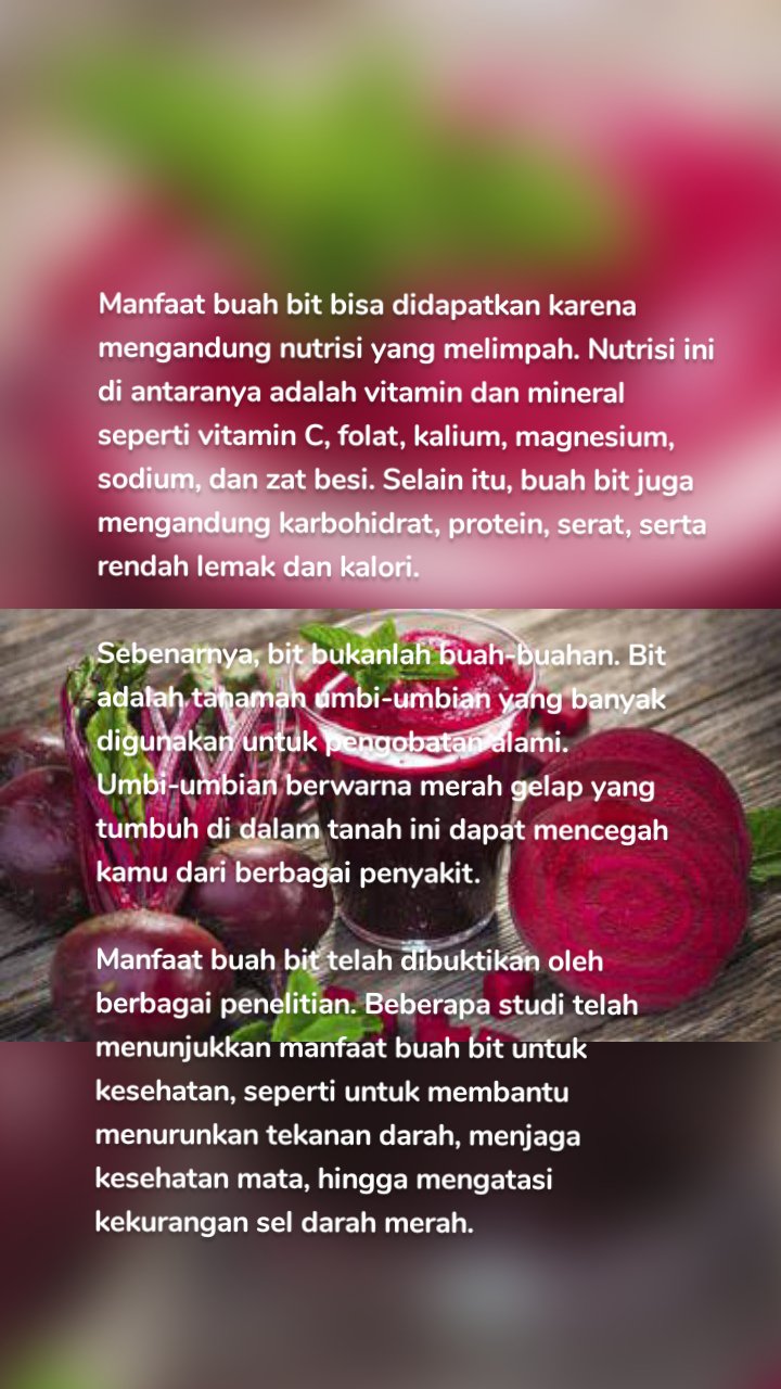 Manfaat buah bit bisa didapatkan karena mengandung nutrisi yang melimpah. Nutrisi ini di antaranya adalah vitamin dan mineral seperti vitamin C, folat, kalium, magnesium, sodium, dan zat besi. Selain itu, buah bit juga mengandung karbohidrat, protein, serat, serta rendah lemak dan kalori. 

Sebenarnya, bit bukanlah buah-buahan. Bit adalah tanaman umbi-umbian yang banyak digunakan untuk pengobatan alami. Umbi-umbian berwarna merah gelap yang tumbuh di dalam tanah ini dapat mencegah kamu dari berbagai penyakit.

Manfaat buah bit telah dibuktikan oleh berbagai penelitian. Beberapa studi telah menunjukkan manfaat buah bit untuk kesehatan, seperti untuk membantu menurunkan tekanan darah, menjaga kesehatan mata, hingga mengatasi kekurangan sel darah merah.
